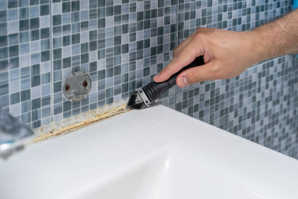 Best White Mold Remediation in Mount Pleasant, UT