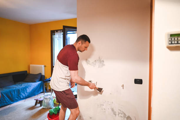 Best Bathroom Mold Remediation in Mount Pleasant, UT